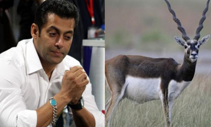 Salman Khan Convicted In BlackBuck Case By Jodhpur Court