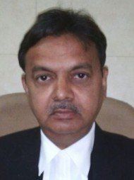 advocate-ia-alvi.jpg